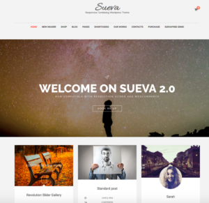Sueva free theme wordpress